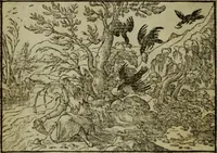 An illustration from Qvadrins historiqves de la Bible (1558)