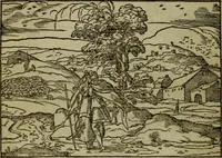 An illustration from Qvadrins historiqves de la Bible (1558)
