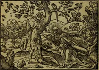 An illustration from Qvadrins historiqves de la Bible (1558)