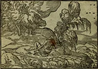 An illustration from Qvadrins historiqves de la Bible (1558)