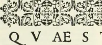 An illustration from Qvaestiones variae Parisiis dispvtatae solemnis doctoris F. Ioannis de Neapoli (1618)