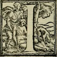 An illustration from I qvattro libri dell'architettvra di Andrea Palladio : ne' quali, dopo un breue trattato de' cinque ordini, & di quelli auertimenti, che sono piu necessarij nel fabricare; (1570)