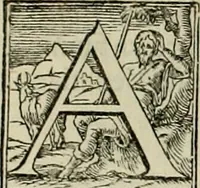 Picture 135 of 346 from I qvattro libri dell'architettvra di Andrea Palladio : ne' quali, dopo un breue trattato de' cinque ordini, & di quelli auertimenti, che sono piu necessarij nel fabricare; (1570), leaf 127
