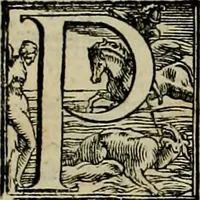 An illustration from I qvattro libri dell'architettvra di Andrea Palladio : ne' quali, dopo un breue trattato de' cinque ordini, & di quelli auertimenti, che sono piu necessarij nel fabricare; (1570)