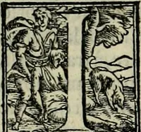 An illustration from I qvattro libri dell'architettvra di Andrea Palladio : ne' quali, dopo un breue trattato de' cinque ordini, & di quelli auertimenti, che sono piu necessarij nel fabricare; (1570)