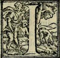 Picture 214 of 346 from I qvattro libri dell'architettvra di Andrea Palladio : ne' quali, dopo un breue trattato de' cinque ordini, & di quelli auertimenti, che sono piu necessarij nel fabricare; (1570), leaf 205