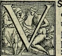 Picture 215 of 346 from I qvattro libri dell'architettvra di Andrea Palladio : ne' quali, dopo un breue trattato de' cinque ordini, & di quelli auertimenti, che sono piu necessarij nel fabricare; (1570), leaf 207