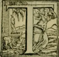 An illustration from I qvattro libri dell'architettvra di Andrea Palladio : ne' quali, dopo un breue trattato de' cinque ordini, & di quelli auertimenti, che sono piu necessarij nel fabricare; (1570)