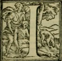 Picture 41 of 346 from I qvattro libri dell'architettvra di Andrea Palladio : ne' quali, dopo un breue trattato de' cinque ordini, & di quelli auertimenti, che sono piu necessarij nel fabricare; (1570), leaf 40