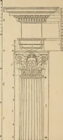 An illustration from Qvinqve colvmnarvm exacta descriptio atque deliniatio, cum symmetrica earum distributione (1550)