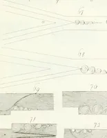 An illustration from Raccolta d'autori italiani che trattano del moto dell' acque (1821)
