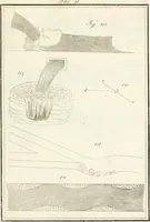 An illustration from Raccolta d'autori italiani che trattano del moto dell' acque (1821)