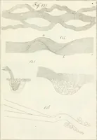 Picture 26 of 61 from Raccolta d'autori italiani che trattano del moto dell' acque (1821), leaf 522