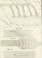 An illustration from Raccolta d'autori italiani che trattano del moto dell' acque (1821)