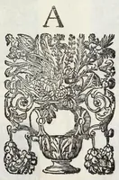 An illustration from Raccolta dell' armi antiche e moderne de nobili ferraresi : con l'origine loro sin hora trouate (1689)