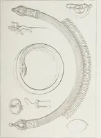 An illustration from Raccolta de' piu belli ed interessanti dipinti, musaici ed altri monumenti rinvenuti negli scavi di Ercolano, di Pompei, e di Stabia, che ammiransi nel Museo nazionale.. (1876)