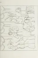 An illustration from Raccolta de' piu belli ed interessanti dipinti, musaici ed altri monumenti rinvenuti negli scavi di Ercolano, di Pompei, e di Stabia, che ammiransi nel Museo nazionale.. (1876)