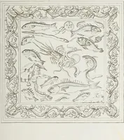 An illustration from Raccolta de' piu belli ed interessanti dipinti, musaici ed altri monumenti rinvenuti negli scavi di Ercolano, di Pompei, e di Stabia, che ammiransi nel Museo nazionale.. (1876)
