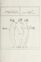 An illustration from Raccolta de' piu belli ed interessanti dipinti, musaici ed altri monumenti rinvenuti negli scavi di Ercolano, di Pompei, e di Stabia, che ammiransi nel Museo nazionale.. (1876)