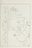 An illustration from Raccolta de' piu belli ed interessanti dipinti, musaici ed altri monumenti rinvenuti negli scavi di Ercolano, di Pompei, e di Stabia, che ammiransi nel Museo nazionale.. (1876)