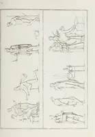 An illustration from Raccolta de' piu belli ed interessanti dipinti, musaici ed altri monumenti rinvenuti negli scavi di Ercolano, di Pompei, e di Stabia, che ammiransi nel Museo nazionale.. (1876)