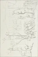 An illustration from Raccolta de' piu belli ed interessanti dipinti, musaici ed altri monumenti rinvenuti negli scavi di Ercolano, di Pompei, e di Stabia, che ammiransi nel Museo nazionale.. (1876)