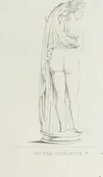An illustration from Raccolta de' piu belli ed interessanti dipinti, musaici ed altri monumenti rinvenuti negli scavi di Ercolano, di Pompei, e di Stabia, che ammiransi nel Museo nazionale.. (1876)