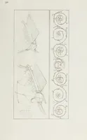An illustration from Raccolta de' piu belli ed interessanti dipinti, musaici ed altri monumenti rinvenuti negli scavi di Ercolano, di Pompei, e di Stabia, che ammiransi nel Museo nazionale.. (1876)