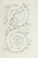 An illustration from Raccolta de' piu belli ed interessanti dipinti, musaici ed altri monumenti rinvenuti negli scavi di Ercolano, di Pompei, e di Stabia, che ammiransi nel Museo nazionale.. (1876)