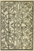 An illustration from Raccolta de tvtti i ritratti & disegni di ricchami : che in Alemagna, in Frãcia, & in Italia si sono trouati, con piu altri aggionti, & nuouamente stampati (1532)