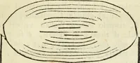 An illustration from Raccolta di diverse antiche inscrizioni e medaglie epitalamiche : ritrovate negli stati di S.S.R.M. il Re di Sardegna : e due dissertazioni sopra un antico turibolo, e campanello (1781)
