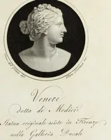 An illustration from Raccolta di dodici busti cavati dalle antiche statue originali : e sono l'Apollo citaredo colle muse, e l'Apollo detto di Belvedere, queste si ammirano nel Museo Pio-Clementino, la Venere de Medici, nel Museo ducale in Firenze (1794)
