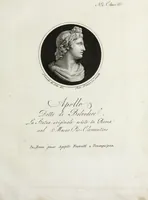 An illustration from Raccolta di dodici busti cavati dalle antiche statue originali : e sono l'Apollo citaredo colle muse, e l'Apollo detto di Belvedere, queste si ammirano nel Museo Pio-Clementino, la Venere de Medici, nel Museo ducale in Firenze (1794)