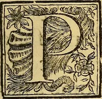 An illustration from Raccolta di lettere sulla pittura, scultura ed architettura scritte da'più celebri personaggi che in dette arti fiorirono dal secolo XV. al XVII .. (1757)