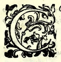 An illustration from Raccolta di poesie volgari, e latine in vita, e morte della signora Evlaria de' Bianchi comica confederata : dedicata ... da Iacop'Antonio Fidenzi trà comici detto Cinthio (1628)