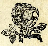 Picture 9 of 9 from Raccolta di tvtte l'opere di Bartolomeo Bocchini, detto Zan Mvzzina (1665), leaf 425