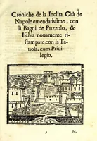 Picture 3 of 18 from Raccolta di varii libri, ouero, Opuscoli d'historie del regno di Napoli di varii et approbati autori : che con difficoltà si trouauano : di nuouo sedelmente ristampati, e corretti nella quale si contengono l'infrascritti ... : opere curiosissme, vtili, e necessarie à studiosi dell' antichità, e di varii eruditioni (1680), leaf 13