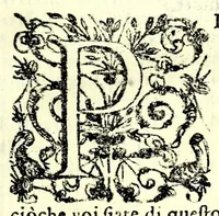 Picture 8 of 18 from Raccolta di varii libri, ouero, Opuscoli d'historie del regno di Napoli di varii et approbati autori : che con difficoltà si trouauano : di nuouo sedelmente ristampati, e corretti nella quale si contengono l'infrascritti ... : opere curiosissme, vtili, e necessarie à studiosi dell' antichità, e di varii eruditioni (1680), leaf 143