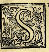 An illustration from Raccolta di varii libri, ouero, Opuscoli d'historie del regno di Napoli di varii et approbati autori : che con difficoltà si trouauano : di nuouo sedelmente ristampati, e corretti nella quale si contengono l'infrascritti ... : opere curiosissme, vtili, e necessarie à studiosi dell' antichità, e di varii eruditioni (1680)