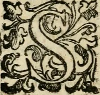 An illustration from Raccolta d'orationi et rime di diversi : co'l discorso, descrittione dell'essequie, e disegno del catafalco nella morte dell'illustriss. & reuerendiss. cardinal Farnese (1589)