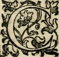 An illustration from Raccolta d'orationi et rime di diversi : co'l discorso, descrittione dell'essequie, e disegno del catafalco nella morte dell'illustriss. & reuerendiss. cardinal Farnese (1589)