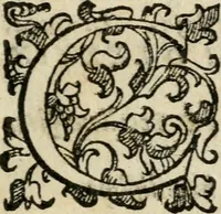An illustration from Raccolta d'orationi et rime di diversi : co'l discorso, descrittione dell'essequie, e disegno del catafalco nella morte dell'illustriss. & reuerendiss. cardinal Farnese (1589)