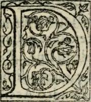 An illustration from Raccolto delle feste fatte in Fiorenza dalli ill.mi & ecc.mi nostri signori e padroni il sig. duca, & il sig. principe di Fiorenza, & di Siena : nella venuta del serenissimo arciduca Carlo d'Austria per honorarne la presenza di Sua Altezza (1569)