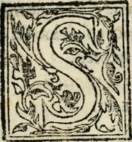 An illustration from Raccolto delle feste fatte in Fiorenza dalli ill.mi & ecc.mi nostri signori e padroni il sig. duca, & il sig. principe di Fiorenza, & di Siena : nella venuta del serenissimo arciduca Carlo d'Austria per honorarne la presenza di Sua Altezza (1569)