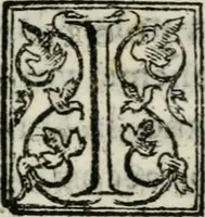 An illustration from Raccolto delle feste fatte in Fiorenza dalli ill.mi & ecc.mi nostri signori e padroni il sig. duca, & il sig. principe di Fiorenza, & di Siena : nella venuta del serenissimo arciduca Carlo d'Austria per honorarne la presenza di Sua Altezza (1569)