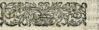 An illustration from Raccolto delle feste fatte in Fiorenza dalli ill.mi & ecc.mi nostri signori e padroni il sig. duca, & il sig. principe di Fiorenza, & di Siena : nella venuta del serenissimo arciduca Carlo d'Austria per honorarne la presenza di Sua Altezza (1569)