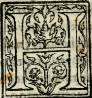 An illustration from Raccolto delle feste fatte in Fiorenza dalli ill.mi & ecc.mi nostri signori e padroni il sig. duca, & il sig. principe di Fiorenza, & di Siena : nella venuta del serenissimo arciduca Carlo d'Austria per honorarne la presenza di Sua Altezza (1569)