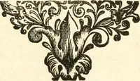 An illustration from Racconto delle pvbliche allegrezze fatte dalla citta di Milano alli iv. febraro MDCXXX. per la felice nascita del sereniss. primogenito di Spagna Baldasar Carlo Dominico (1630)
