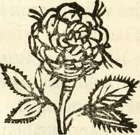An illustration from Racconto dell'esequie fatte in Cremona all'eminentissimo signor cardinale Pietro Campori, vescouo d'essa città (1643)