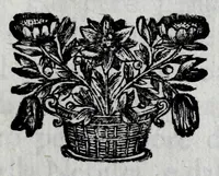 An illustration from Racconto historico del felicissimo maritaggio delle Sacre Cesaree Reali Maesta di Leopoldo et Eleonora Maddalena Teresa principessa nata di Neoburg sempre augusti (1677)